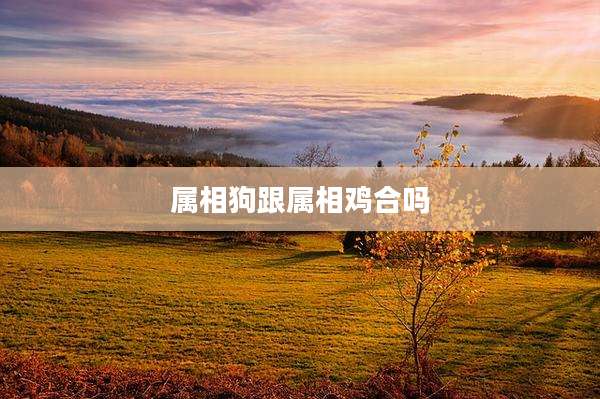 属相狗跟属相鸡合吗