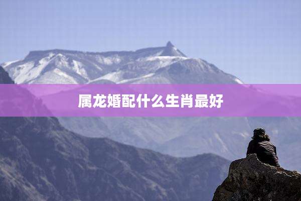 属龙婚配什么生肖最好