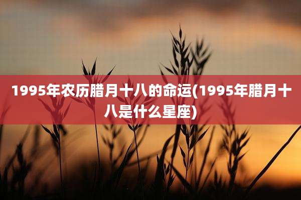 1995年农历腊月十八的命运(1995年腊月十八是什么星座)