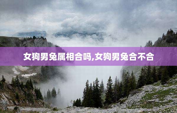 女狗男兔属相合吗,女狗男兔合不合