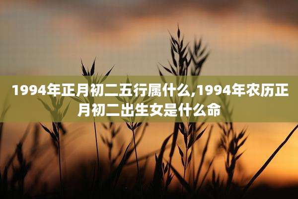 1994年正月初二五行属什么,1994年农历正月初二出生女是什么命