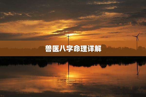 兽医八字命理详解
