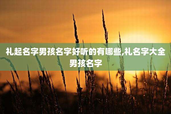 礼起名字男孩名字好听的有哪些,礼名字大全男孩名字