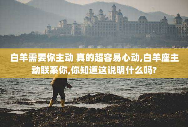 白羊需要你主动 真的超容易心动,白羊座主动联系你,你知道这说明什么吗?