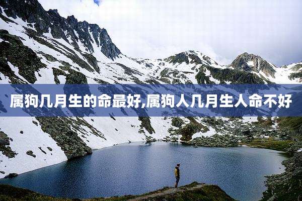 属狗几月生的命最好,属狗人几月生人命不好
