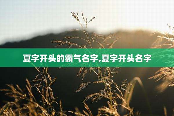 夏字开头的霸气名字,夏字开头名字