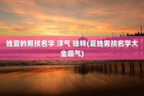 姓夏的男孩名字 洋气 独特(夏姓男孩名字大全霸气)