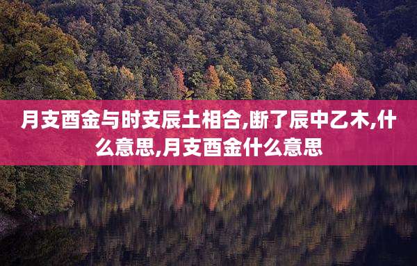 月支酉金与时支辰土相合,断了辰中乙木,什么意思,月支酉金什么意思