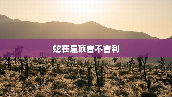 蛇在屋顶吉不吉利