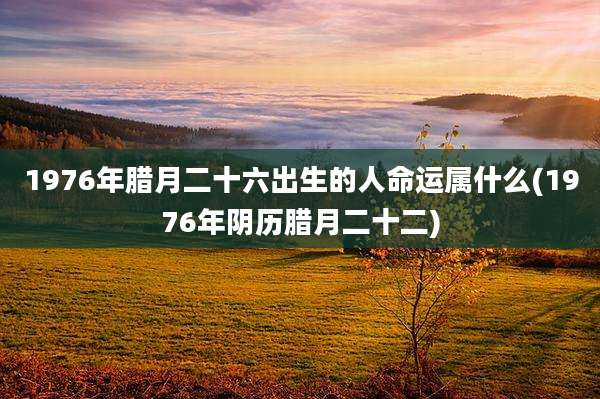 1976年腊月二十六出生的人命运属什么(1976年阴历腊月二十二)