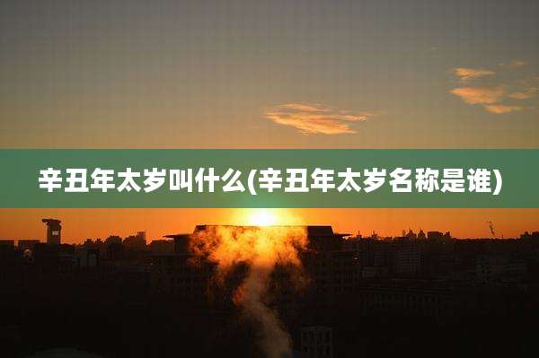 辛丑年太岁叫什么(辛丑年太岁名称是谁)