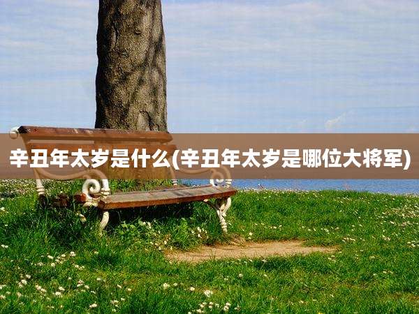 辛丑年太岁是什么(辛丑年太岁是哪位大将军)