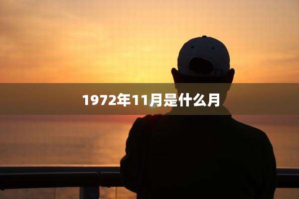 1972年11月是什么月