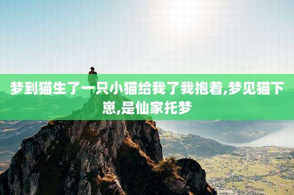 梦到猫生了一只小猫给我了我抱着,梦见猫下崽,是仙家托梦