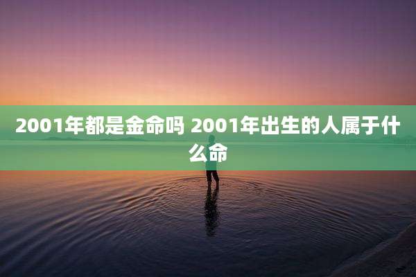 2001年都是金命吗 2001年出生的人属于什么命