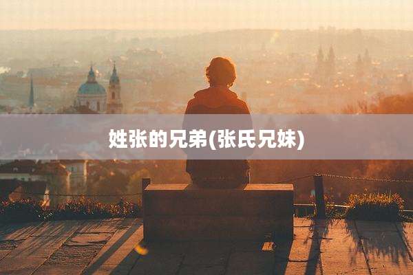 姓张的兄弟(张氏兄妹)