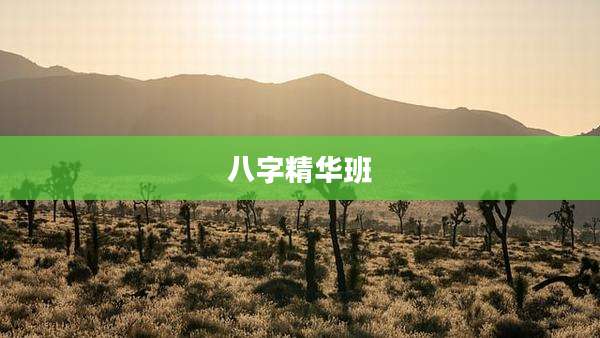 八字精华班
