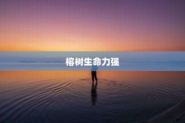 榕树生命力强