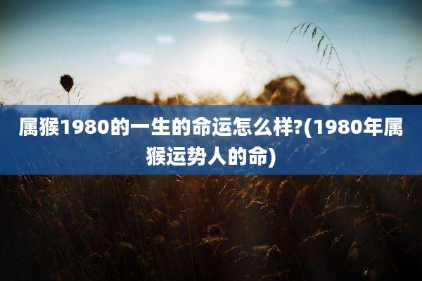 属猴1980的一生的命运怎么样?(1980年属猴运势人的命)