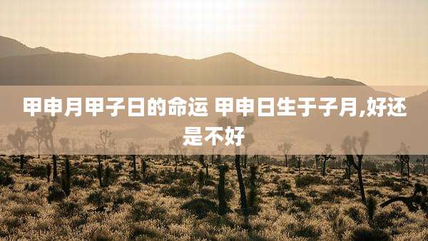 甲申月甲子日的命运 甲申日生于子月,好还是不好