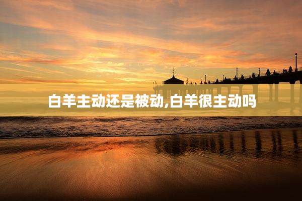 白羊主动还是被动,白羊很主动吗