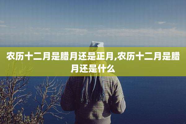 农历十二月是腊月还是正月,农历十二月是腊月还是什么