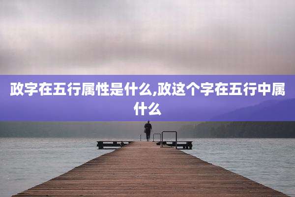政字在五行属性是什么,政这个字在五行中属什么