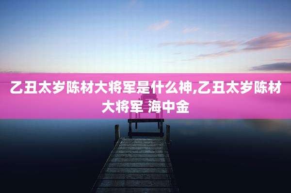 乙丑太岁陈材大将军是什么神,乙丑太岁陈材大将军 海中金
