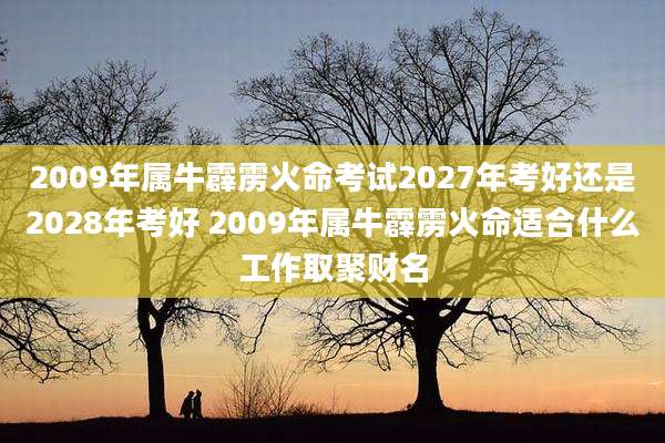 2009年属牛霹雳火命考试2027年考好还是2028年考好 2009年属牛霹雳火命适合什么工作取聚财名