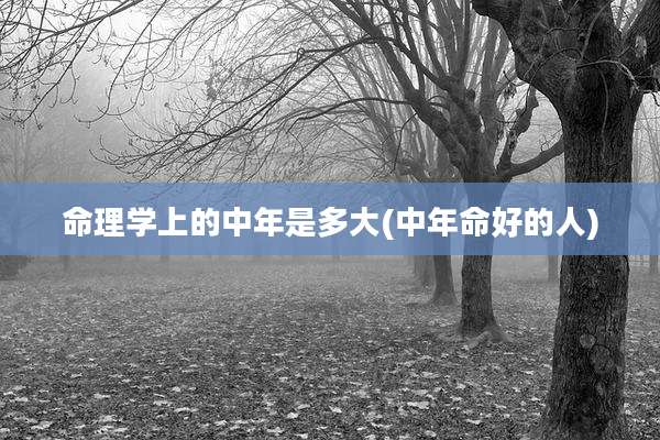 命理学上的中年是多大(中年命好的人)