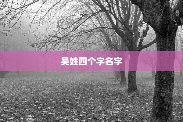 吴姓四个字名字