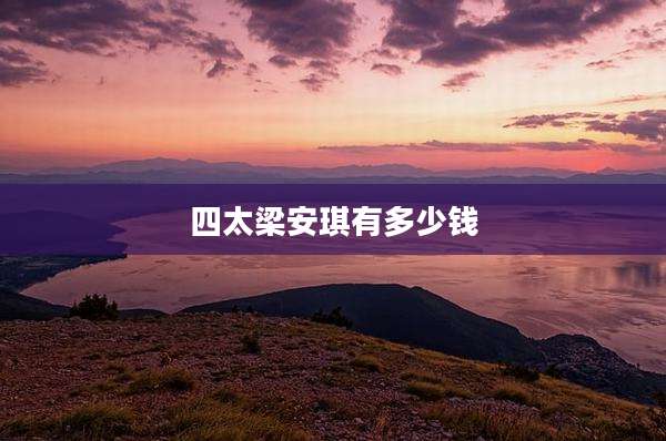 四太梁安琪有多少钱