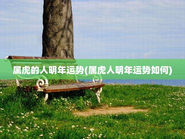 属虎的人明年运势(属虎人明年运势如何)