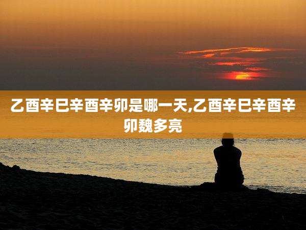 乙酉辛巳辛酉辛卯是哪一天,乙酉辛巳辛酉辛卯魏多亮