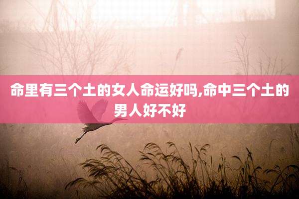 命里有三个土的女人命运好吗,命中三个土的男人好不好