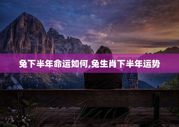 兔下半年命运如何,兔生肖下半年运势