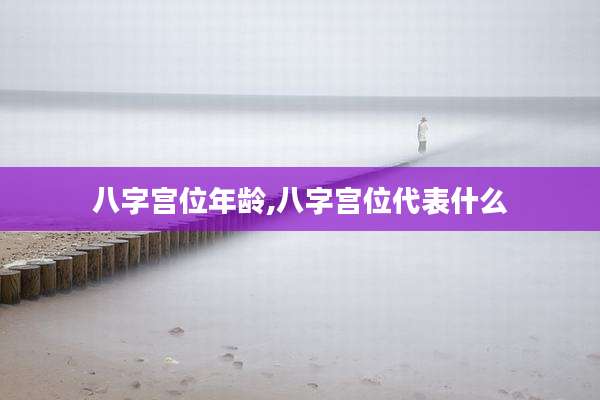 八字宫位年龄,八字宫位代表什么