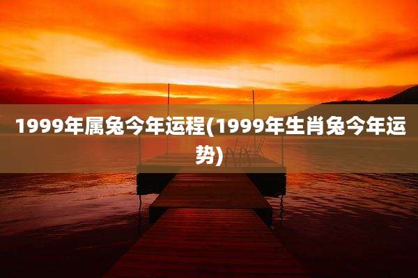 1999年属兔今年运程(1999年生肖兔今年运势)