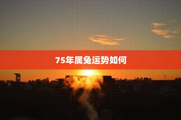 75年属兔运势如何
