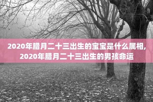 2020年腊月二十三出生的宝宝是什么属相,2020年腊月二十三出生的男孩命运