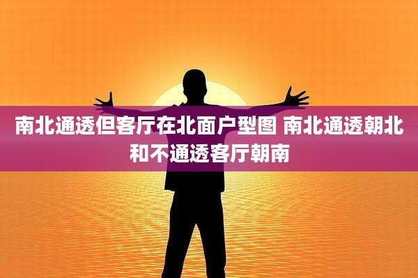 南北通透但客厅在北面户型图 南北通透朝北和不通透客厅朝南