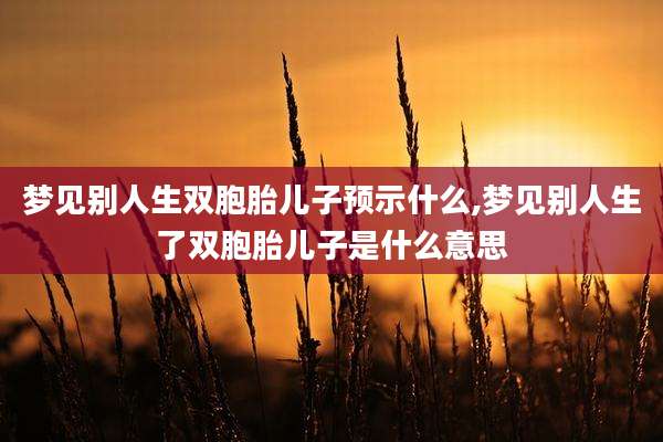 梦见别人生双胞胎儿子预示什么,梦见别人生了双胞胎儿子是什么意思