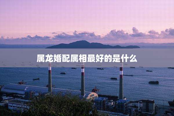 属龙婚配属相最好的是什么