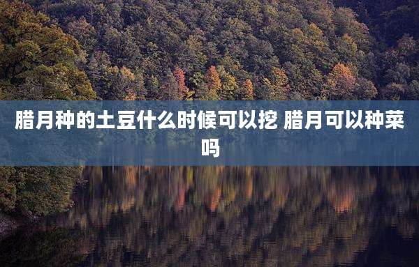 腊月种的土豆什么时候可以挖 腊月可以种菜吗