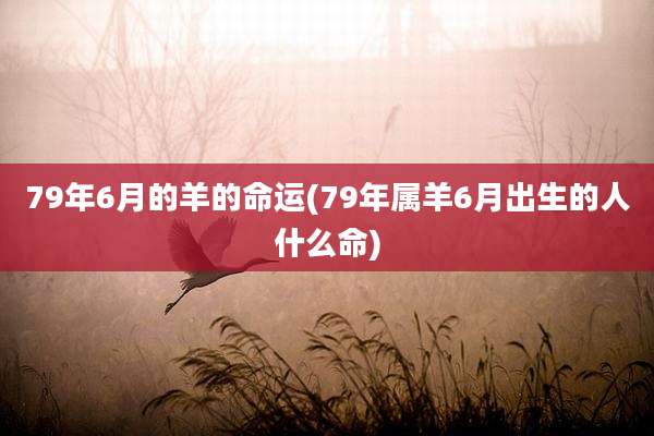 79年6月的羊的命运(79年属羊6月出生的人什么命)