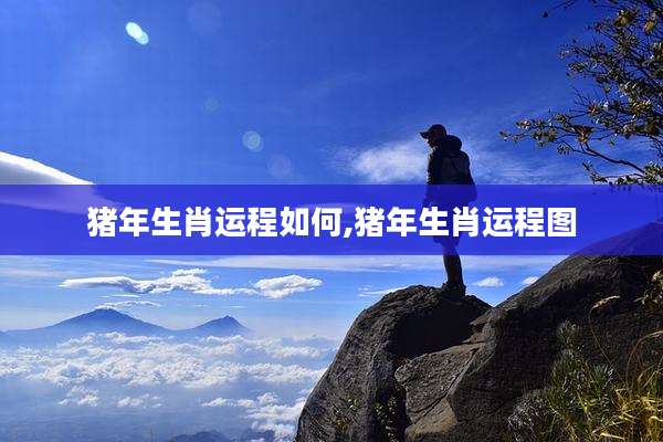 猪年生肖运程如何,猪年生肖运程图