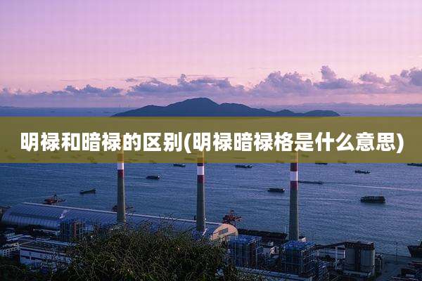 明禄和暗禄的区别(明禄暗禄格是什么意思)