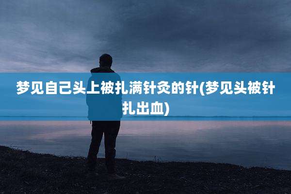 梦见自己头上被扎满针灸的针(梦见头被针扎出血)