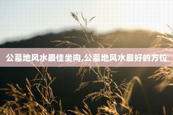 公墓地风水最佳坐向,公墓地风水最好的方位