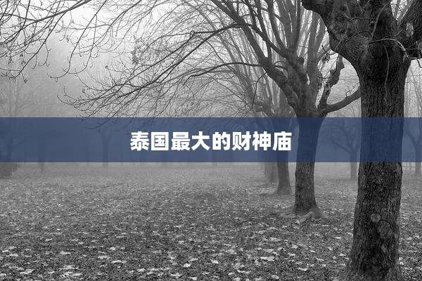 泰国最大的财神庙